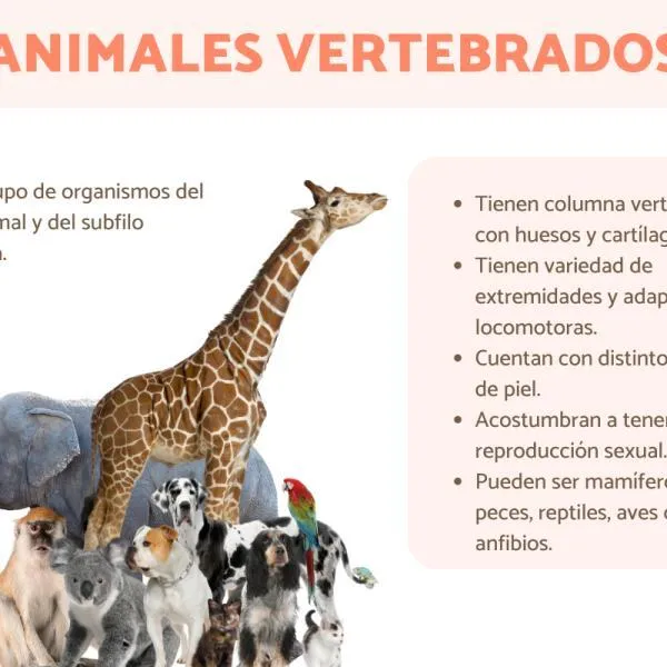 Las 5 principales características de un cuento corto que debes conocer