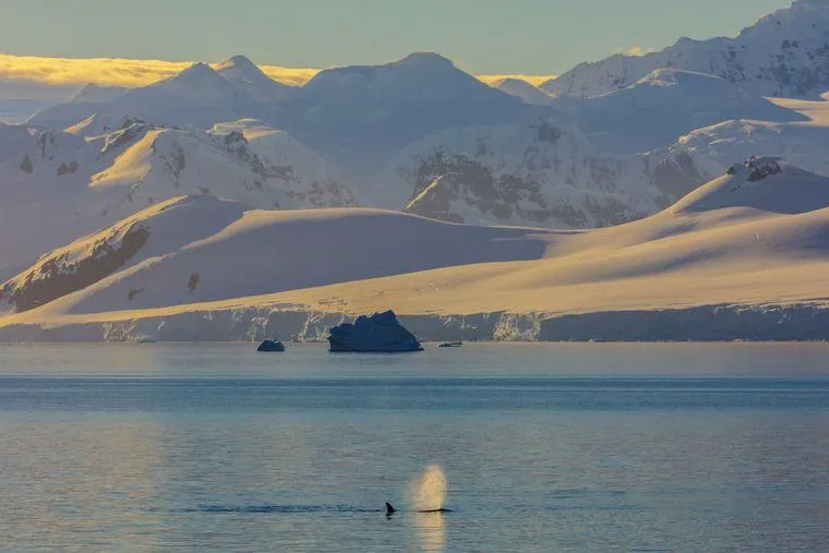 Las características estructurales comunes de los mitos más populares a lo largo de la historia image 0
