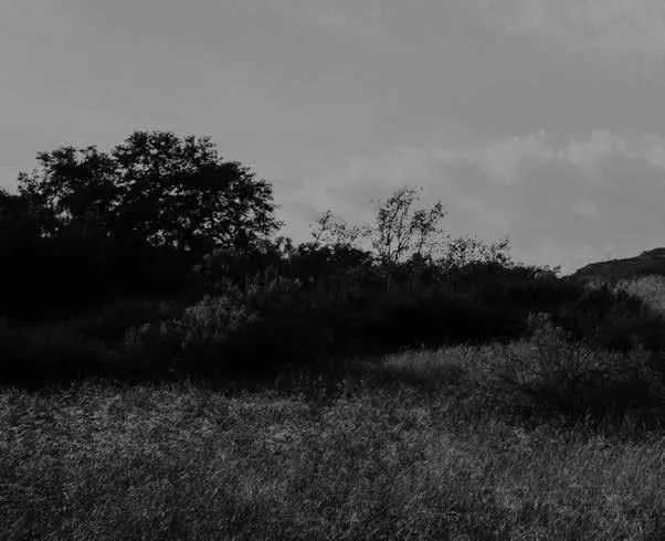 La caracteristica principal que define al mito: su naturaleza simbolica y alegorica photo 4