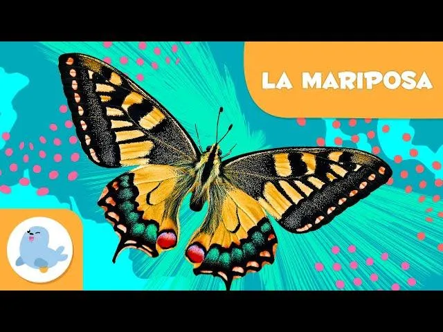 ?Son las mariposas vertebradas o invertebradas? La verdad sobre la clasificacion de las mariposas photo 2