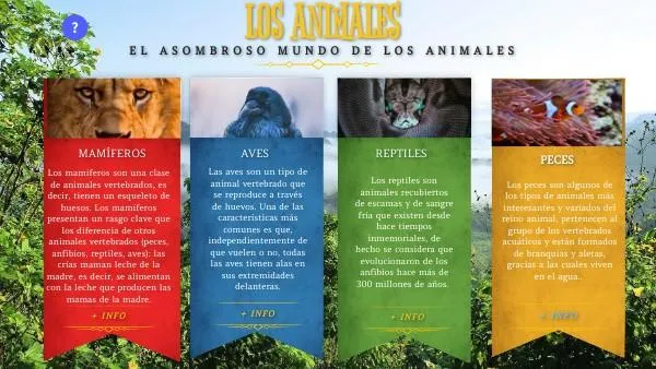 Los 5 grupos principales de vertebrados: anfibios, reptiles, aves, mamiferos y peces image 3