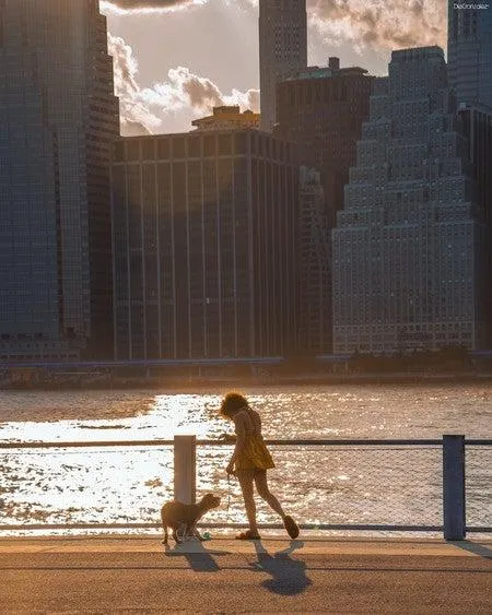Caracteristicas y atractivos de la mitad del mundo: por que vale la pena visitar esta region ecuatoriana image 3