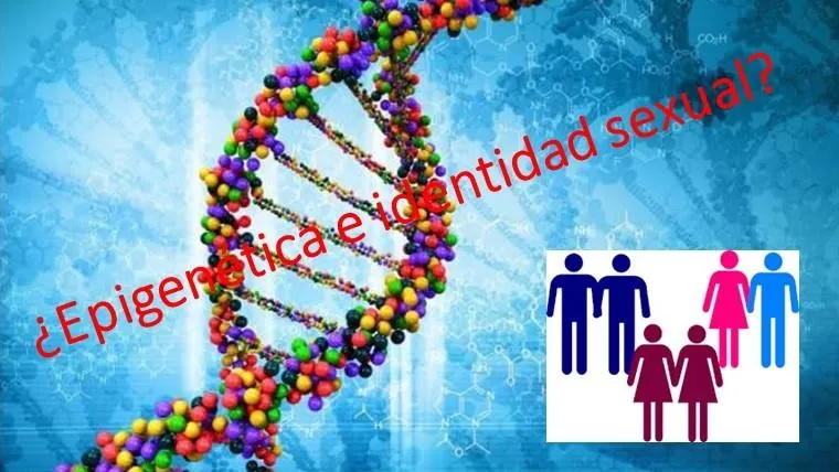 Cinco caracteristicas importantes que definen el genero y como pueden influir en la identidad photo 2