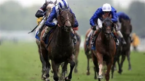 Las 5 características clave del popular cuento infantil La tortuga gigante image 2