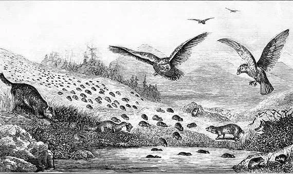 10 Caracteristicas Comunes de los Mitos Mas Populares: Como los Mitos Explican el Mundo Antiguo image 4