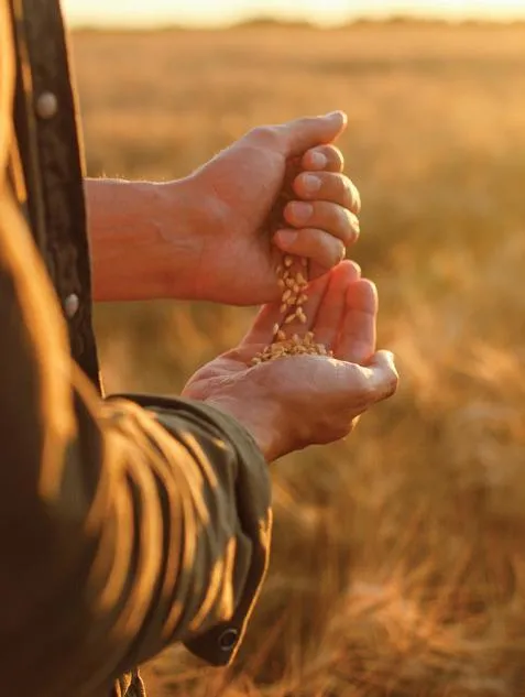 Caracteristicas del suspenso: claves para mantener el interes del lector en un cuento corto image 4