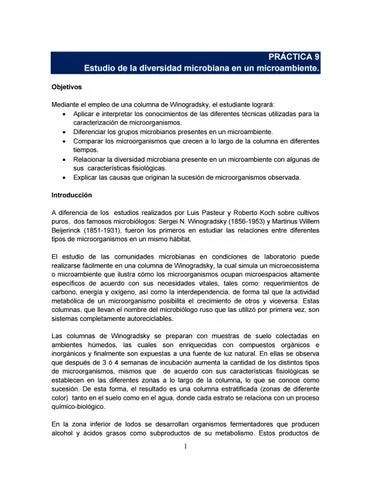 Caracteristicas clave del genero Clostridium para microbiologos image 2