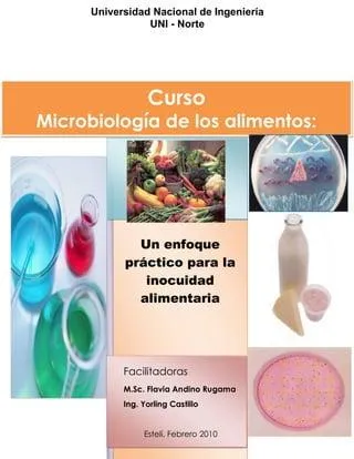 Caracteristicas clave del genero Clostridium para microbiologos image 3