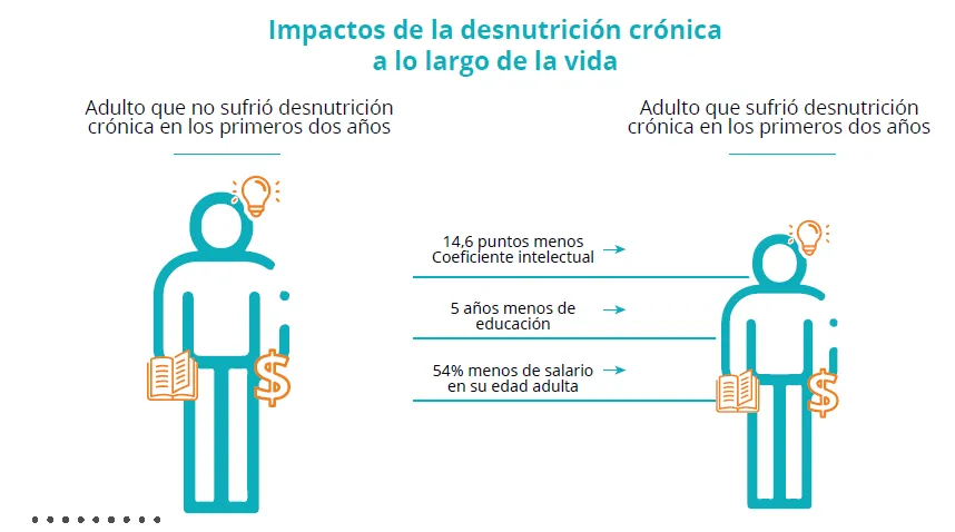 Las consecuencias y efectos de la desnutricion cronica en ninos y adultos photo 2