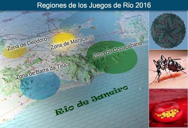 7 Caracteristicas Clave de la Insuficiencia Renal Cronica que Debes Conocer image 1