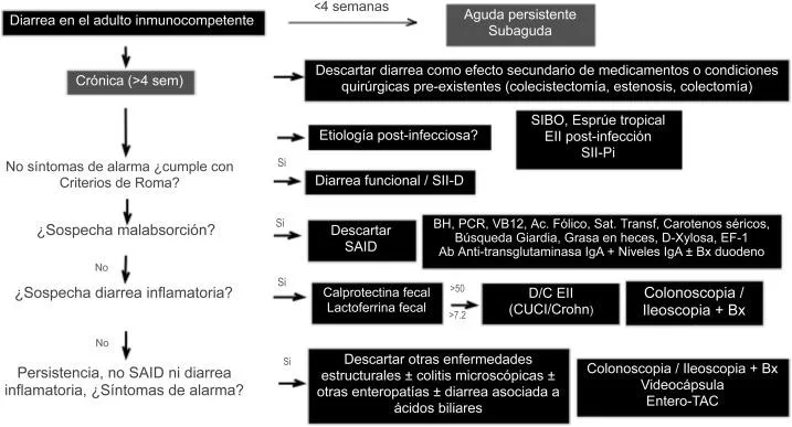 Caracteristicas de la orina en la insuficiencia renal cronica: que puede indicar el color y la consistencia photo 2