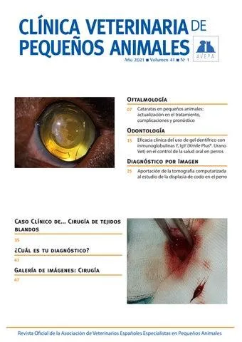 Caracteristicas de la orina en la insuficiencia renal cronica: que puede indicar el color y la consistencia photo 3