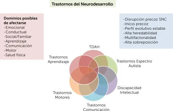 Las 5 Caracteristicas Externas Mas Comunes de la Cronica y Como Reconocerlas image 4