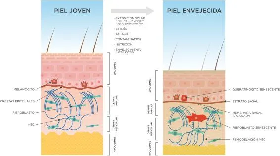 Las 5 caracteristicas clave de la cronica y como ha influido en la literatura image 4