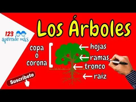 Las 5 caracteristicas clave de Caperucita Roja y el Lobo Feroz que puedes aprender image 1