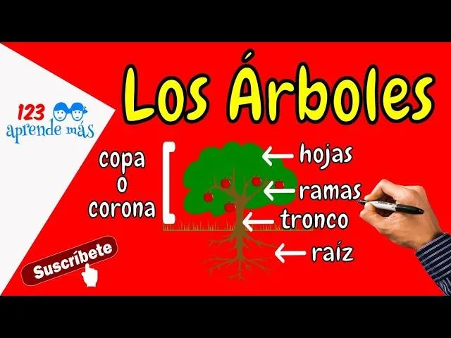 Las 5 caracteristicas clave de Caperucita Roja y el Lobo Feroz que puedes aprender image 3