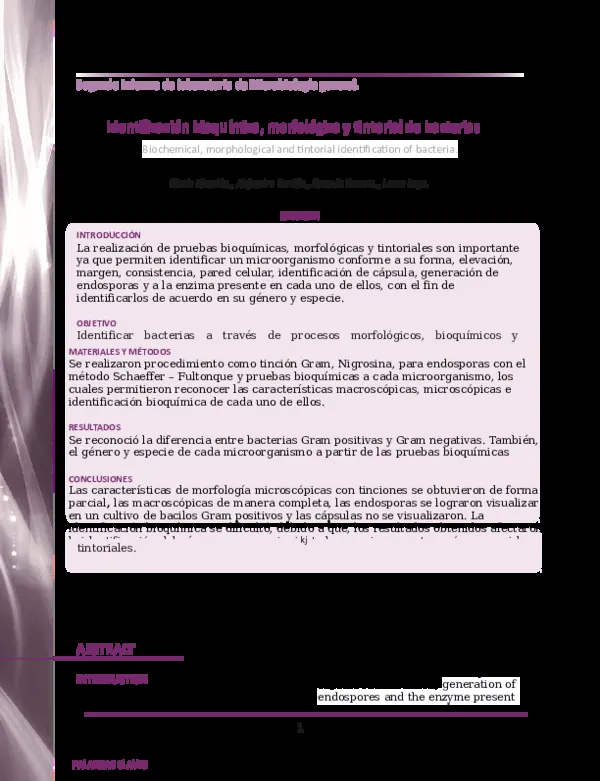 Las características clave y la morfología del género bacteriano Bacillus image 0