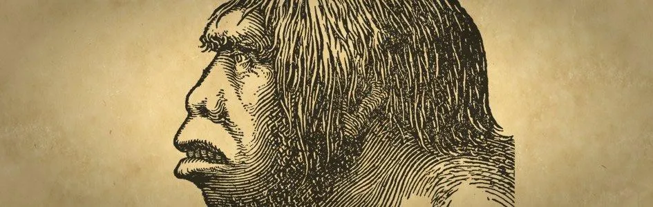 Las 10 caracteristicas mas comunes del genero homo image 0