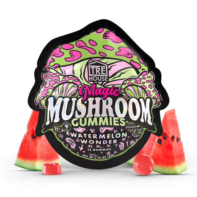 Why Are Mushroom Gummies The Best-Selling Product In The Local Market?